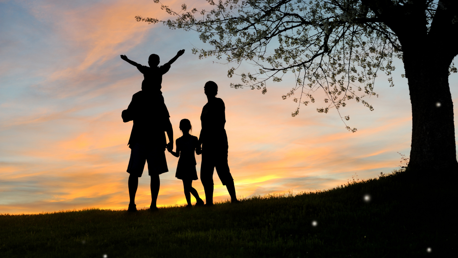 family-reunification-rush-to-canada